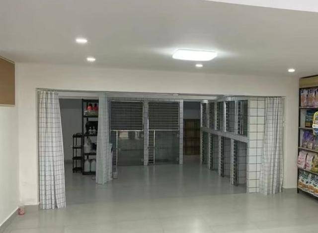 养订单量较平日增长50%以上开元棋牌元旦期间昆明宠物寄(图1) 养订单量较平日增长50%以上开元棋牌元旦期间昆明宠物寄(图1)