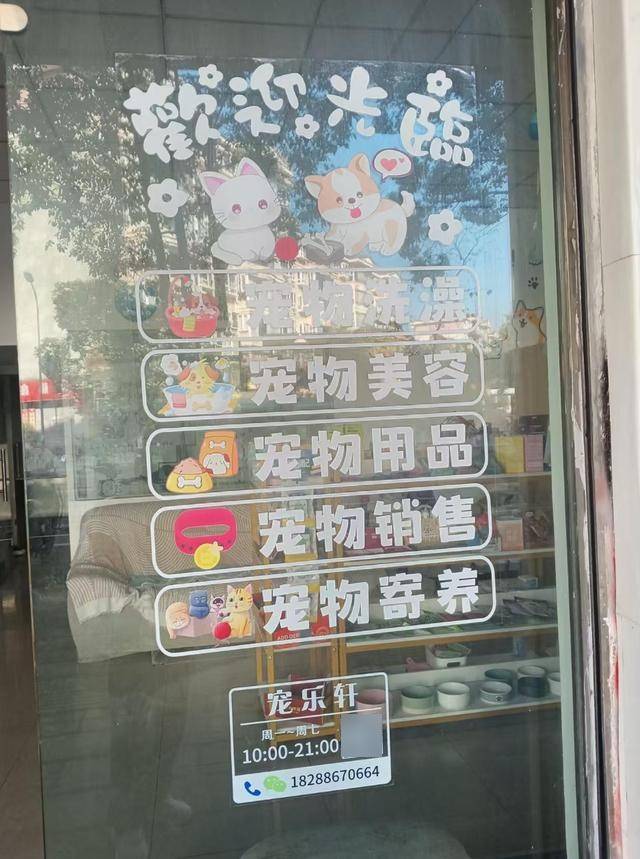 养订单量较平日增长50%以上开元棋牌元旦期间昆明宠物寄(图2) 养订单量较平日增长50%以上开元棋牌元旦期间昆明宠物寄(图2)