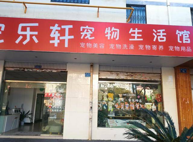 养订单量较平日增长50%以上开元棋牌元旦期间昆明宠物寄(图4) 养订单量较平日增长50%以上开元棋牌元旦期间昆明宠物寄(图4)