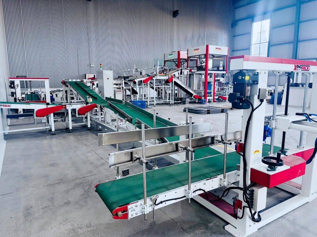 用品产业带正强势崛起开元棋牌网站盱眙宠物