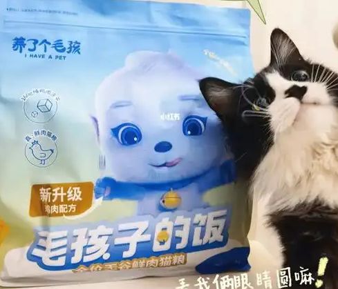 粮！三只松鼠靠什么重返宠物食品赛道开元棋牌app零食巨头盯上毛孩子口(图2)
