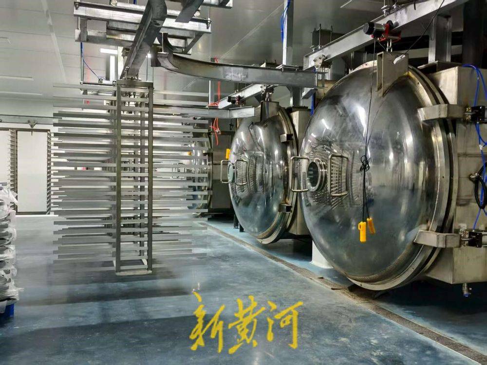 宠“定制”产业破局腾飞开元棋牌潍坊临朐：让萌