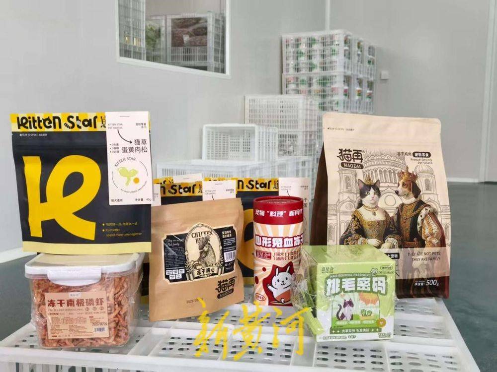 宠“定制”产业破局腾飞开元棋牌潍坊临朐：让萌(图2)